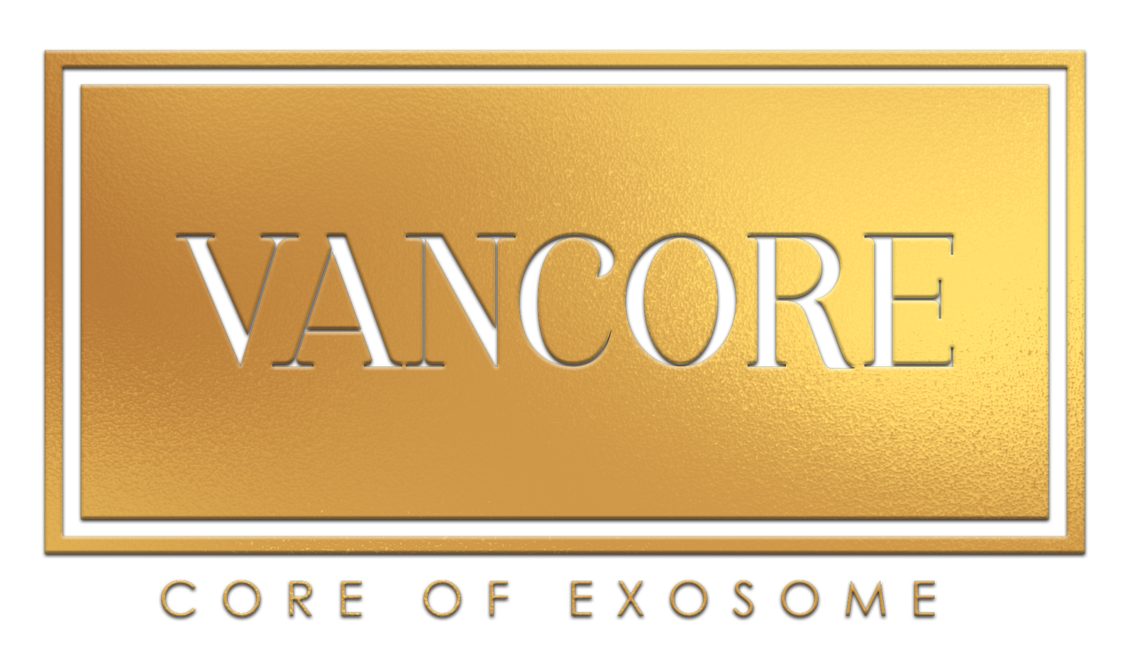 Vancore Skin